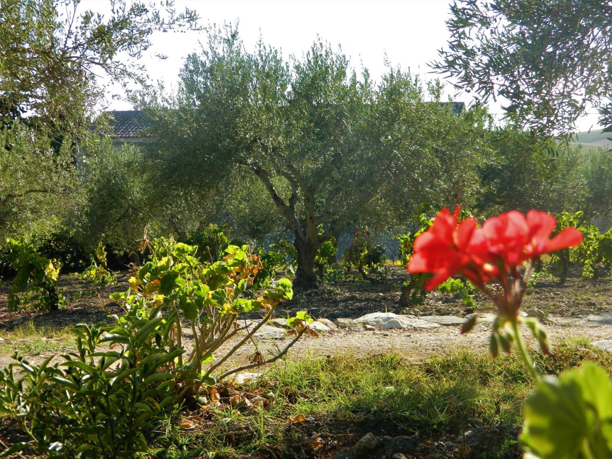 Baglio Anaste Hotel Buseto Palizzolo Buitenkant foto